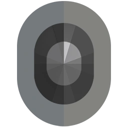 Iron