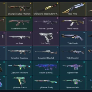 valorant silver account