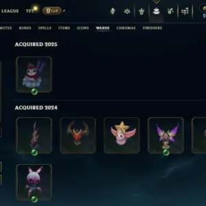 NA | 383 Skins | 163 Champions