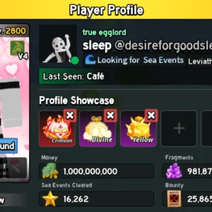 Blox Fruit Account