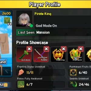 blox fruit account