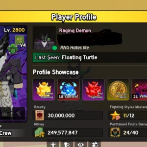blox fruit account