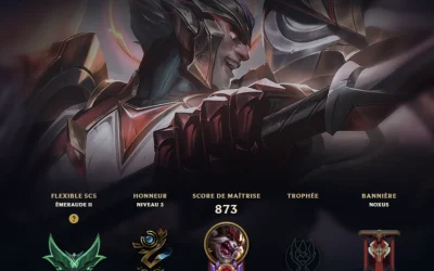 1334 SKINS01.04.37